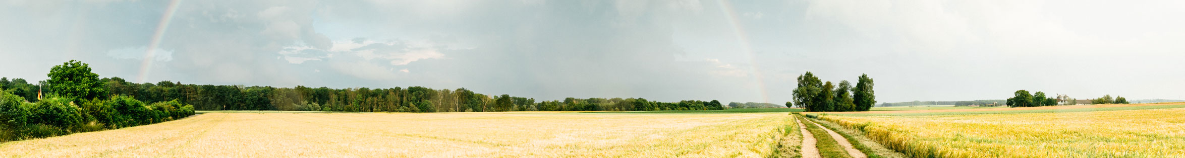 Wheat field and rainbow. #2881 regionale-fotobank.de